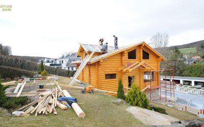 Construction of wooden houses in Vienna Austria